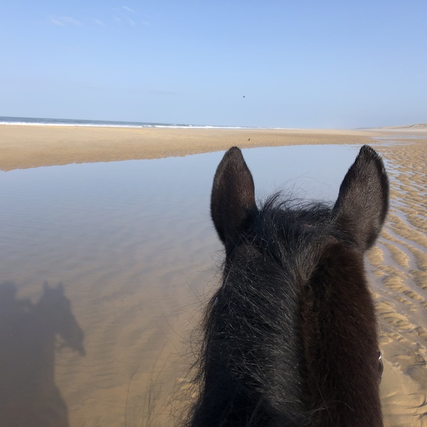 Centre équestre Lège Cap-Ferret pour les vacances !